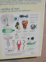 DSCN2240.webp