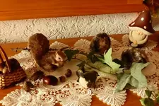 Herbstzauber 4 004.webp