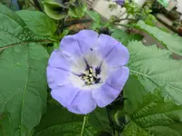 CIMG1735.webp