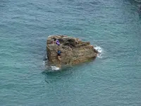 041 (2).webp