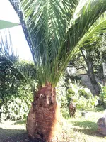 20141025_145354.webp