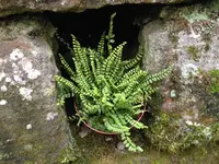 image4.webp