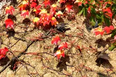 Stare_00004.webp
