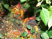 DSCF3681.webp