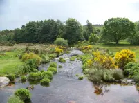 022 bach von postbridge.webp
