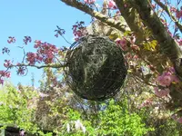 Copy of 3. Garden (64)v.webp