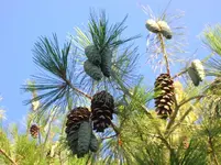 DSCN1835.webp