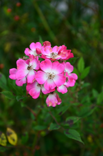 DSC_3167.webp
