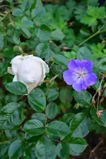 DSC_3168.webp