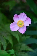 DSC_3172.webp