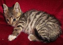 Edith 25.10.-01.webp