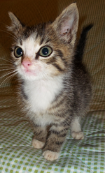 Frieda 25.10.-01.webp