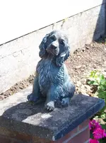 149 who let the dog out.webp