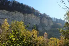 bergrutsch.webp