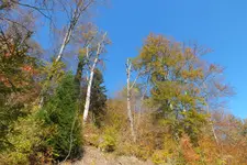 DSCF8717.webp