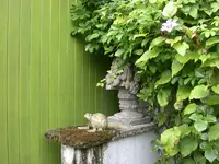 DSCN7613.webp