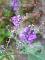 DSCN8940.webp
