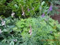 DSCN0684.webp