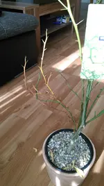 IMAG0331.webp IMAG0331.webp