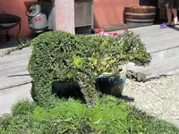 2. Garden (124)v.webp