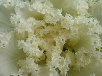 P1220845.webp