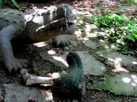 3. Garden (140).webp