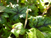P1220474.webp