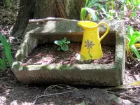 3. Garden (143)v.webp