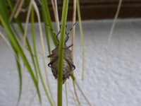P1230037.webp