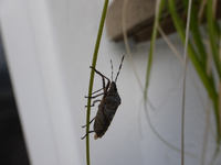 P1230038.webp