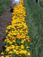 DSCN6840.webp