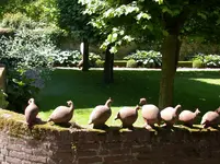 DSCN2316.webp