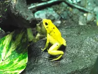 aquarium 007.webp