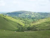020 Tal in Dartmoor.webp