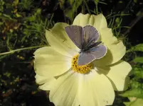003.webp