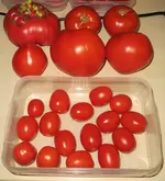 IMG_0901.webp
