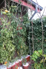 IMG_0898.webp