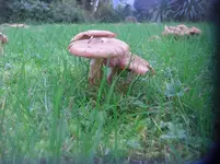 CIMG3576.webp