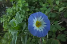 DSCF8750.webp