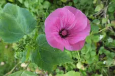 DSCF8751.webp