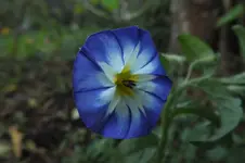DSCF8753.webp