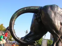DSCN2504.webp