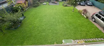 garten_8431.webp