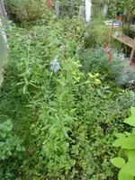 P1220231.webp