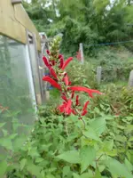 P1220235.webp