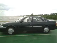 PIC00337.webp