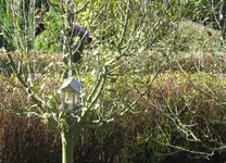 IMG_7415_cr.webp