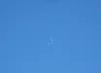 IMG_7419_cr.webp
