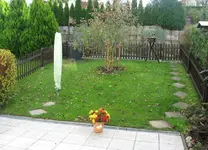 IMG_7369_cr.webp