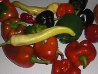 CIMG0110.webp